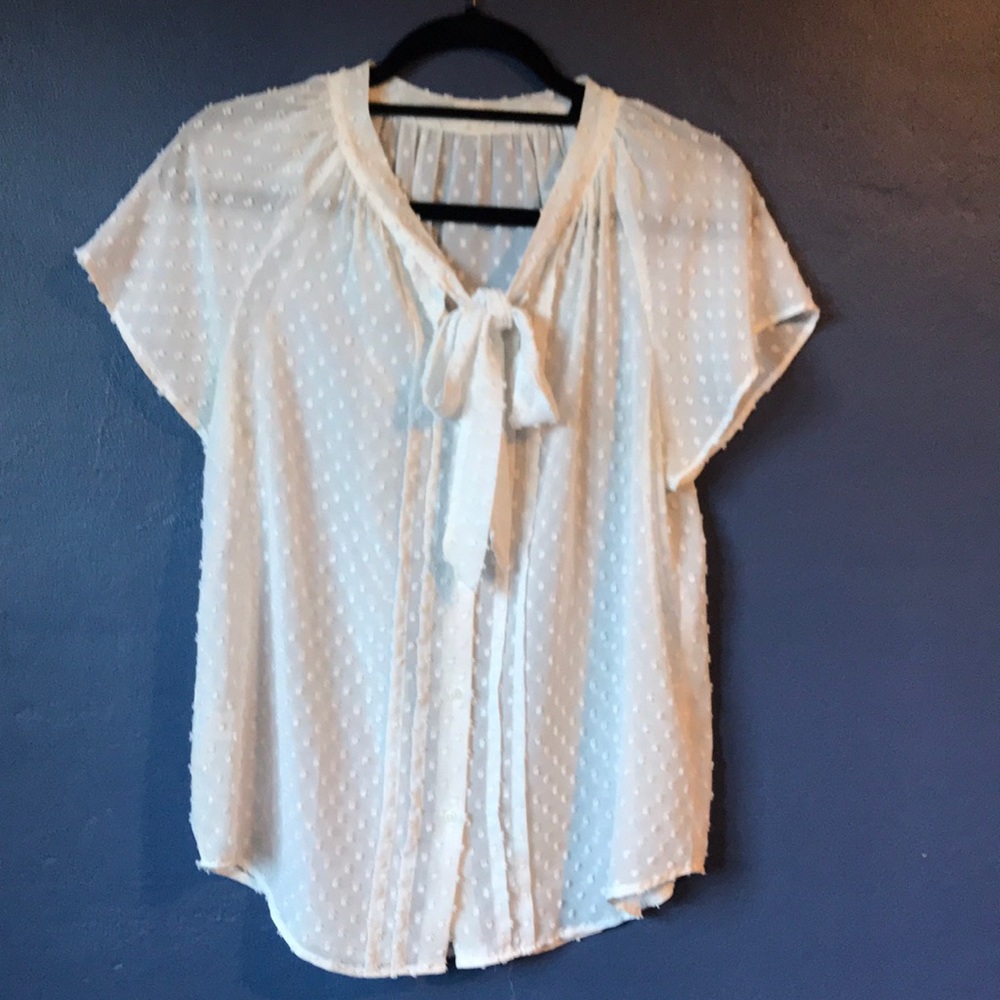 Sheer tie blouse.